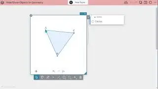 Constructing Hide/Show Buttons In Geometry Sticky