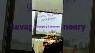 Carrots In My Ears x Sosmula