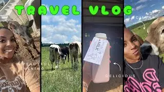 BECOMING A FARM GIRL - THE WORST OR BEST  CAMPING EXPERIENCE? - HARVEST HOST - RVING AT A DAIRY FARM