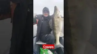 Когда ты устроил фотосессию, а кто то в это время снимал)))
