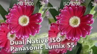 Panasonic Lumix S5: Dual Native ISO V-Log Comparison