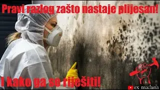 Pravi Razlog Nastanka Vlage u Vašem Domu! I Kako Je Se Riješiti!!