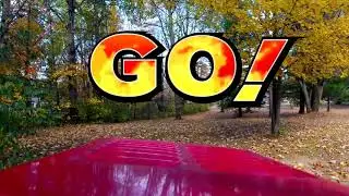 Leaf Mower Simulator.