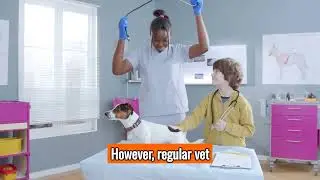 The Jack Russell Terrier - Top Personality Traits, Characteristics, and Facts