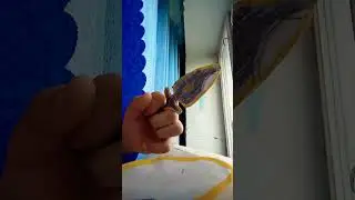 какой нож лучше?