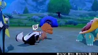 Cute Moment in Pokemon Sword