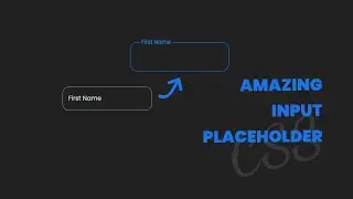 Amazing On Hover Input Design Using CSS