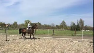 IMG 1069