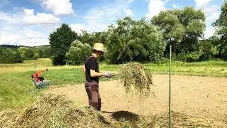 Orto Ruth Stout: Delimito l’Area