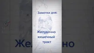 Панкриатит из-за диеты голодания, как нехватка пищи и воды действует на организм диетолог онлайн