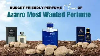 Top 7 Budget-Friendly Clones of Azzaro The Most Wanted Parfum | mynextscent