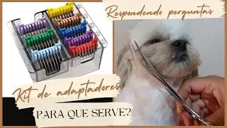 Adaptadores, melhores marcas  novidade o que aconteceu por aqui? Estou morando no interior
