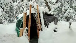Снежное утро в лесу