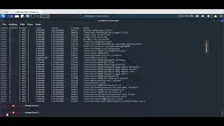 Checking Network Status Using NETSTAT and SS commands