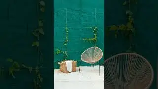 Wall Texture #shorts  #ytshorts  #viral #trending