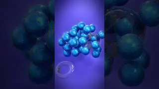 Fun Softbody Animation in Blender 