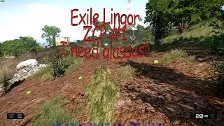 ZCP #1