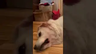 Goofing Off!