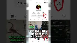 ⏰TikTok Maximum Number of attempts reached on PC 