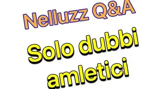 Nelluzz Q&A - Master, Inglese e Big4