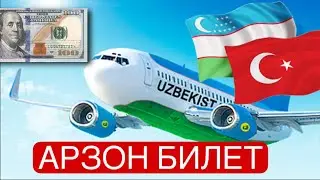 ТУРКИЯ ЎЗБЕКИСТОН АВИАКАССА БИЛЕТ НАРХЛАРИ АРЗОН БЎЛДИ