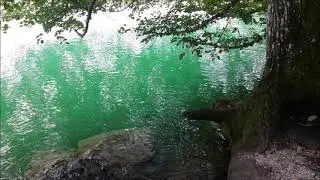 Спасибо, жизнь!