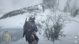 Самая лучшая лошадь в RDR 2. Как поймать арабского скакуна. RDR 2 (Red dead redemption 2)