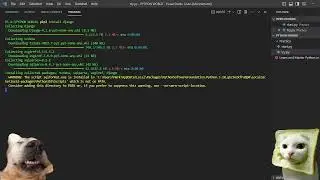 HOW TO INSTALL DJANGO MODULE USING MICROSOFT VS CODE IN TERMINAL | PYTHON TUTORIAL 006