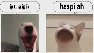 Turi ip ip vs ah stapsi ah(Epic Rap Battle)