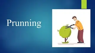 Prunning: Decision Trees