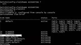 20-Config   More VLANs  Erasing The Switch  The VLAN DAT File