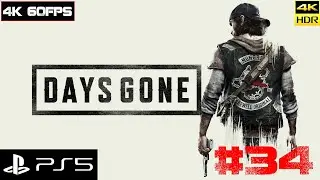 DAYS GONE - Жизнь после [4k 60fps HDR] (PS5) #34 - Дедушка Байкер и его жизнь после