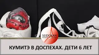 Кумитэ в доспехах . Категория дети 6-7 лет.