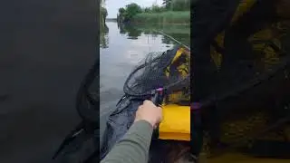 Pike Fishing Szczecin #adventures #fishing #packraft #poland #pike #casting #odra