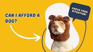 Can You Afford Having a Dog? Take the Quiz! 🐶❤️
