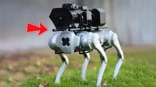 Gadgets You Will Definitely Enjoy