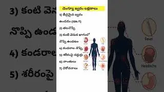 డెంగ్యూ జ్వరం లక్షణాలు