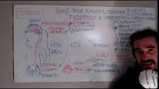 Boost your energy level: Part 7  Stress - 1