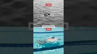 What Every Swim Stroke Looked Like THEN vs. NOW