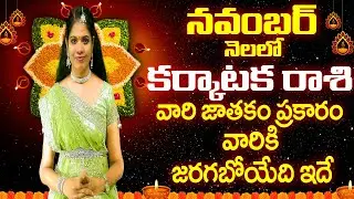 నవంబర్  కర్కాటక రాశి Karkataka Rasi November 2024  November Karkataka Rasi Phalalu Astrology 2024 Ra
