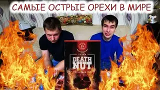 Пробуем самые острые орехи. The Death Nut Challenge v2.