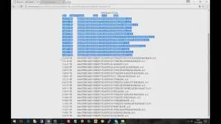 Bin Kodu Denetleme Bin Checker (Python)