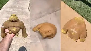 Dropping A Stretch Monkey | It Was So Much Fun | Funny Video
