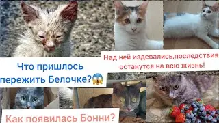 Над Белочкой издевались, как она у нас появилась? Воспоминания печального прошлого😥 