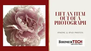 Isolate and copy an item in a iPhone/iPad Photograph