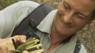 Man Vs Wild: BEAR GRYLLS Catching A Catfish And Eating It Raw HD