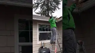 Clean your roof 🤧 