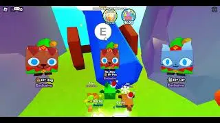 Я аткрываю яица в pet simulator x