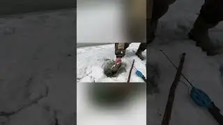 Горная рыбалка на Подпуск |рыбалка в России | #fishing  #рыбалка #shorts