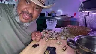 How Much Do Quail Eggs Weigh